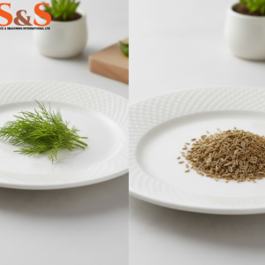 Dill (Tips & Seeds)